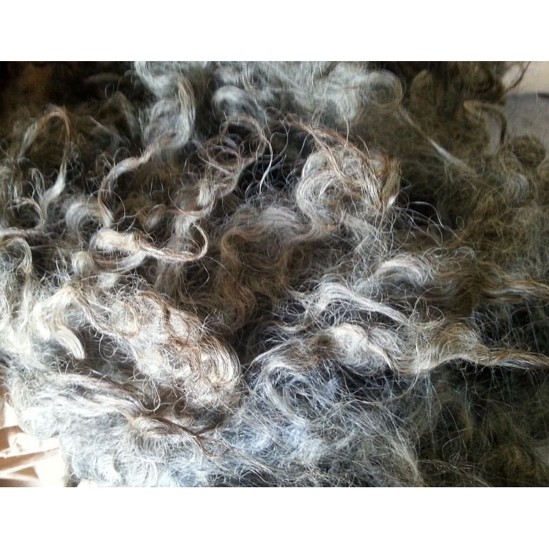 Råull / Otvättad ull från Gotlandsfår 1 kg